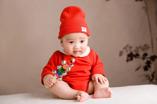 代怀哪里最便宜6个月宝宝辅食做法 代怀哪里最便宜6个月宝宝辅食做法